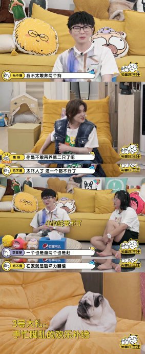 明星养宠物为什么越来越多见，对明星形象有什么影响？