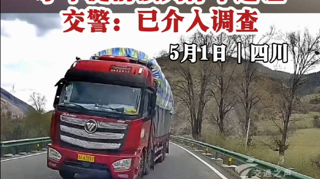 小车提前预判停车避让，交警：已介入调查
