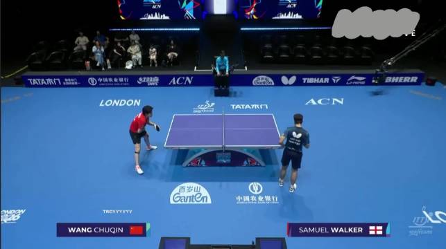 260502英语解说|2026伦敦世乒赛|小组赛|中国vs英格兰第二盘|王楚钦3-1沃克