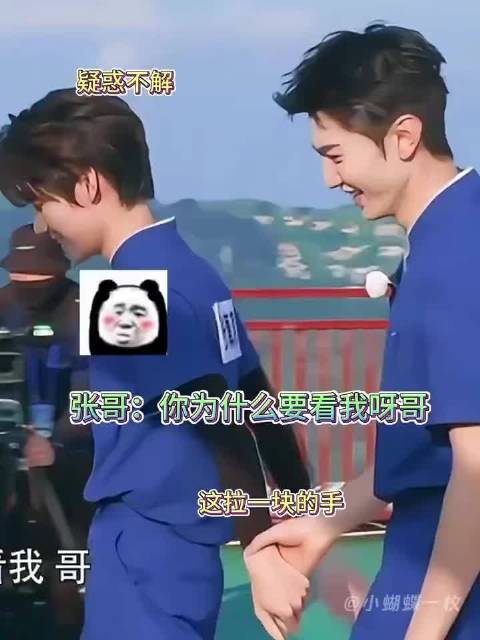 陈哲远遭张真源秒撕名牌，懵圈表情引热议