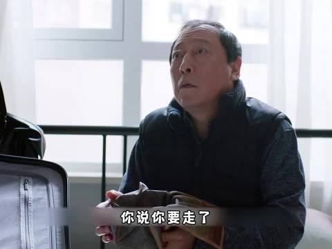 防火防盗防儿子｜都挺好
