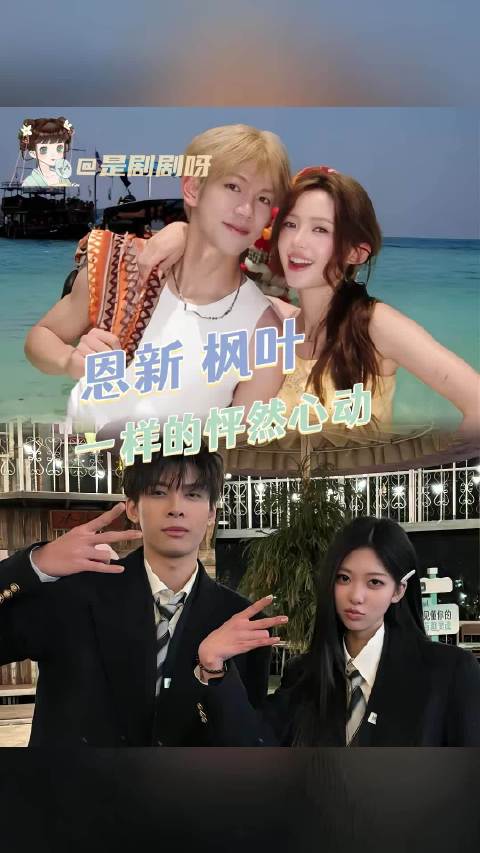 真爱降临 怦然心动的二十岁｜恩新｜枫叶