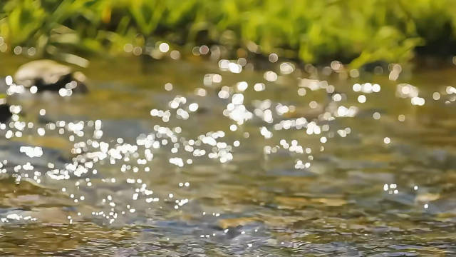 晨光壁纸集锦韩系温柔风明星同款
