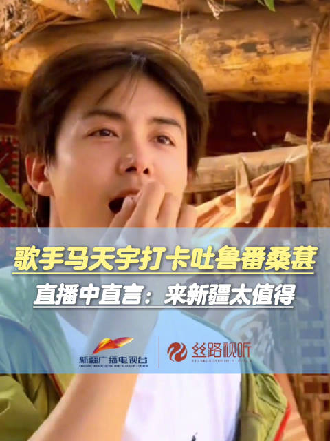 歌手马天宇打卡吐鲁番桑葚 直播中直言：来新疆太值得