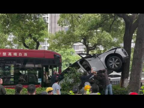 宁波一理想汽车撞树,疑遭公交车追尾