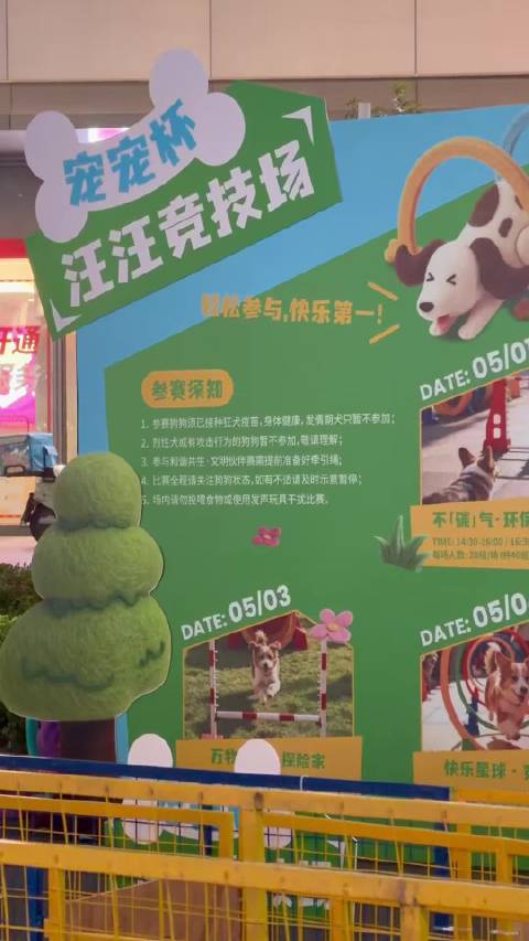 霍思燕携爱犬亮相汪汪竞技场，萌宠表现引围观