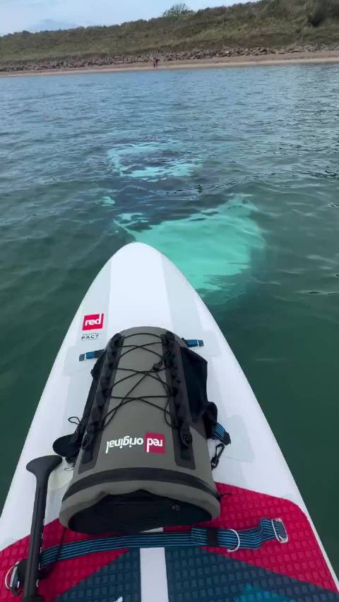 路虎Discovery威尔士海滩被潮水淹没