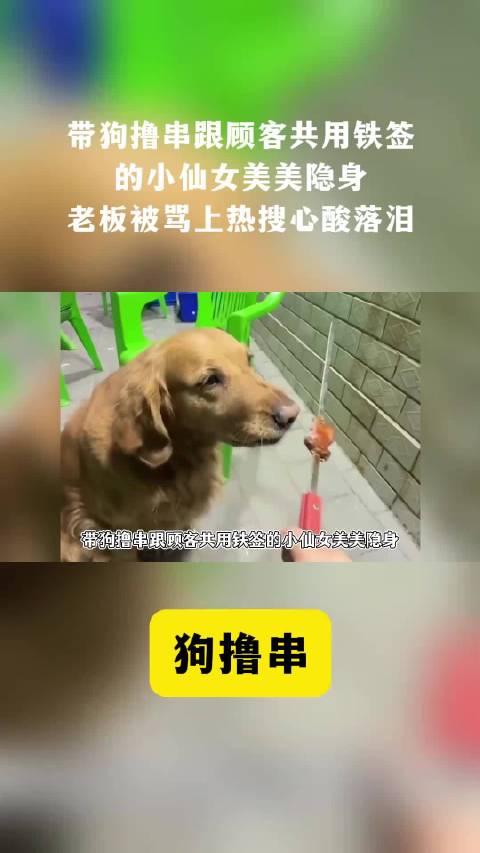 顾客用烧烤签给狗撸串引争议，账号已转私密