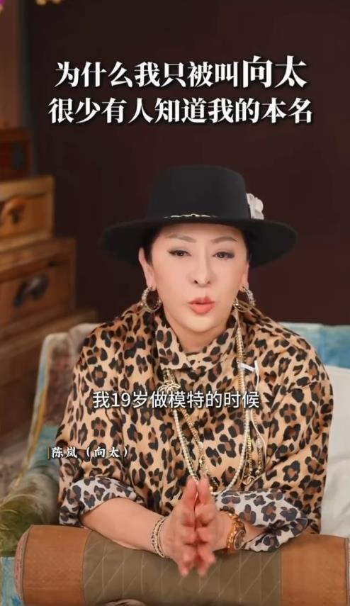 向太自曝本名陈明英，19岁当模特时曾给自己起名“陈男”