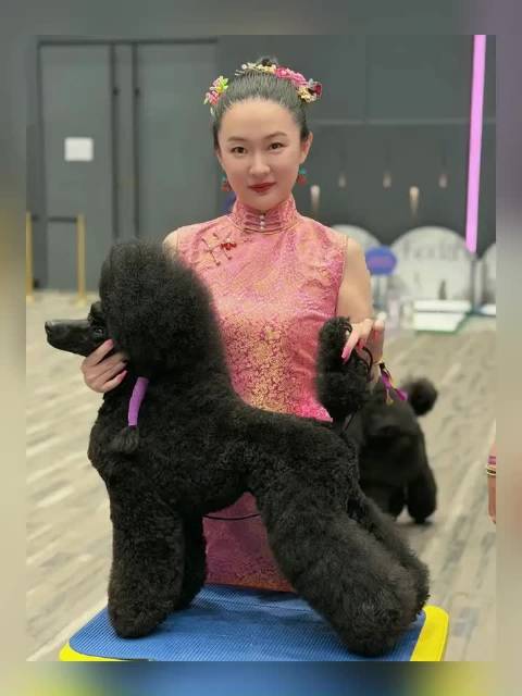 霍思燕科学训犬获国际大奖，凌晨5点带犬训练