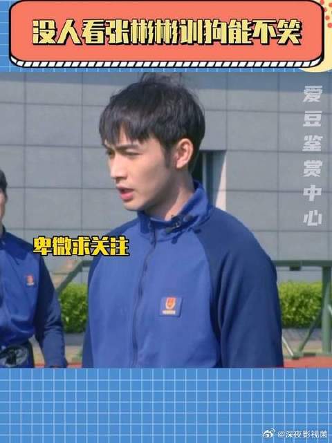 彬彬跟这狗的缘分，是老天递的剧本吧？