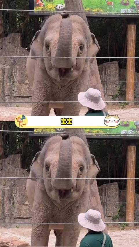 玛利亚你是一个陶喆