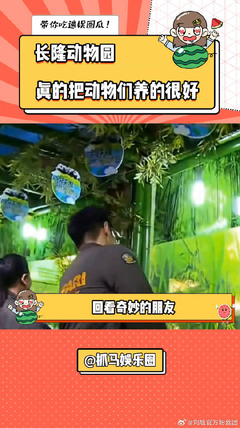 爱与不爱真的很明显长隆动物园 大象 微博VC计划