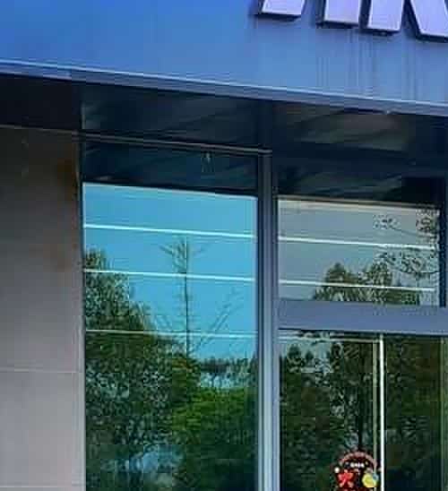 一汽大众旅行车有哪几款