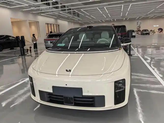 提车 57 天理想 i6 刹车失灵?车主惊魂实录,电子制动系统该如何避险