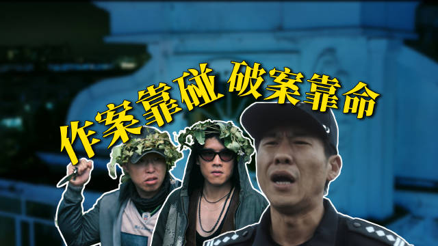 刑警破案靠运气笨贼作案靠瞎蒙，爆笑解说《低智商犯罪》
