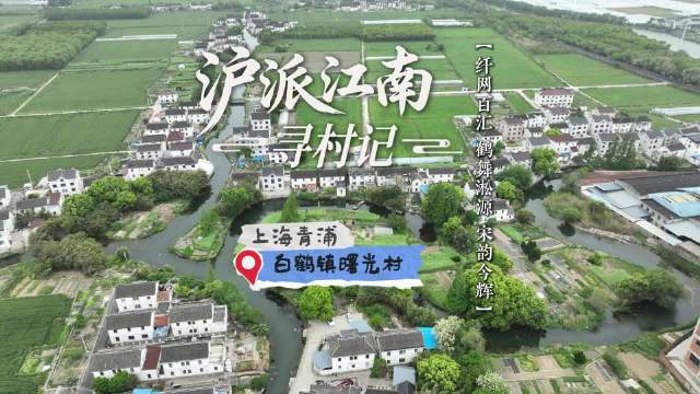 沪派江南寻村记青浦白鹤镇曙光村：纤网百汇凝古韵，鹤舞淞源起新辉