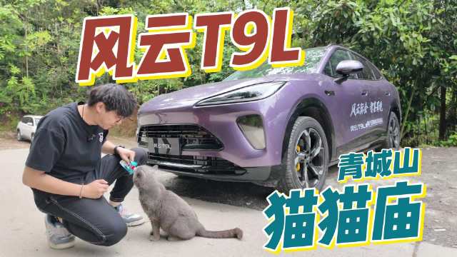 青城山有座“猫猫庙”，风云T9L带你来打卡
