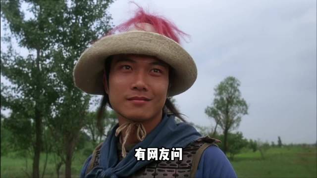 为什么小时候人人喊打的董天宝，风评越来越好了呢？