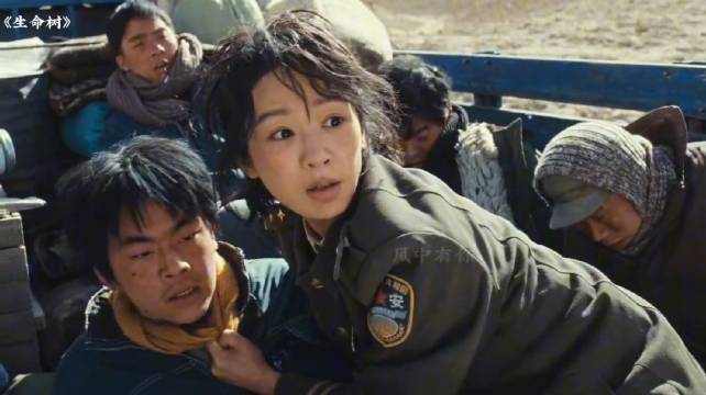 生命树：张院长这枪帅爆了救了白菊，不过这才是一家人都是狠家火