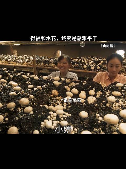 水花老公初期表现引热议