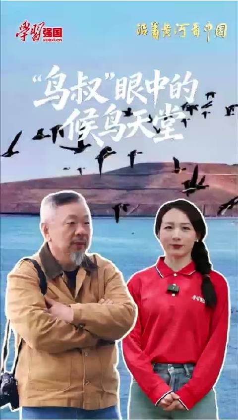 四川摄影师张斌20年坚守宿鸭湖，记录候鸟生态之美