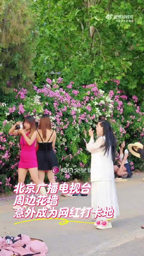 人间五月天，初夏悄然而至～～在