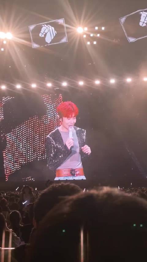 知道的是看演唱会，不知道的还以为看球赛来了