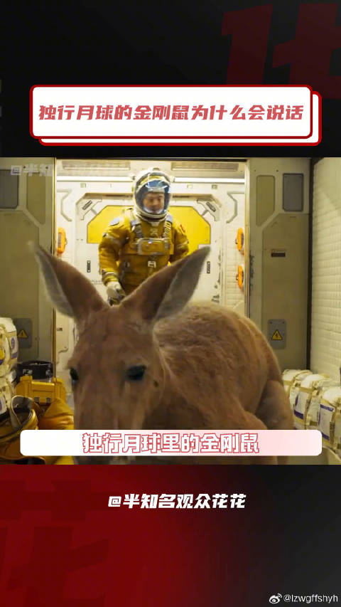 沈腾 微博VC计划