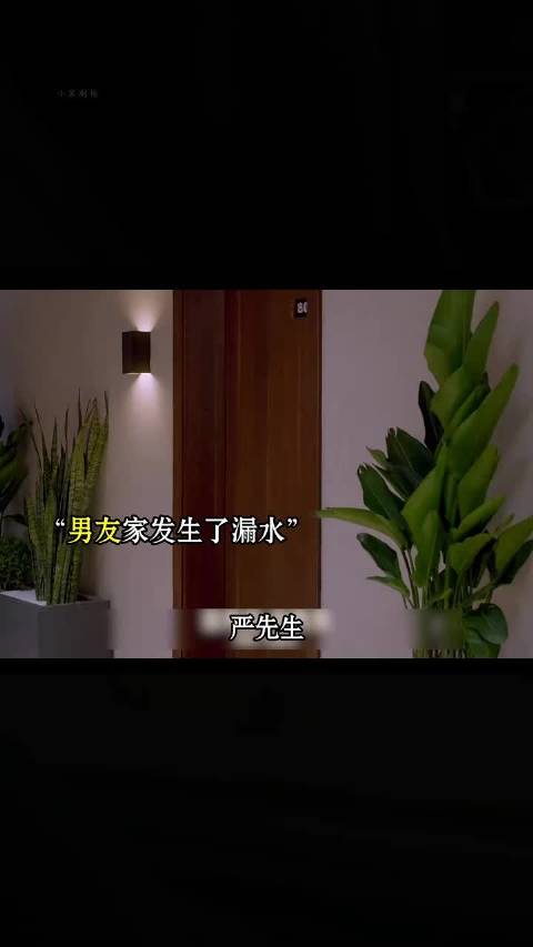 感人至深的爱情
