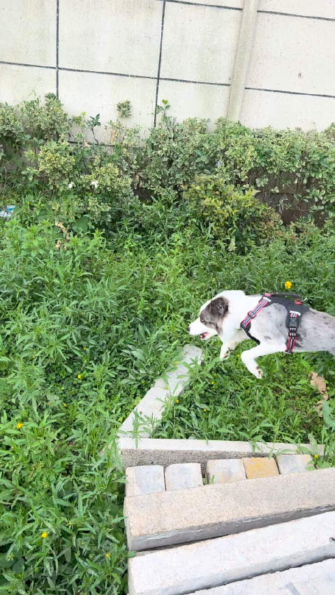 旋转，跳跃，我闭着眼