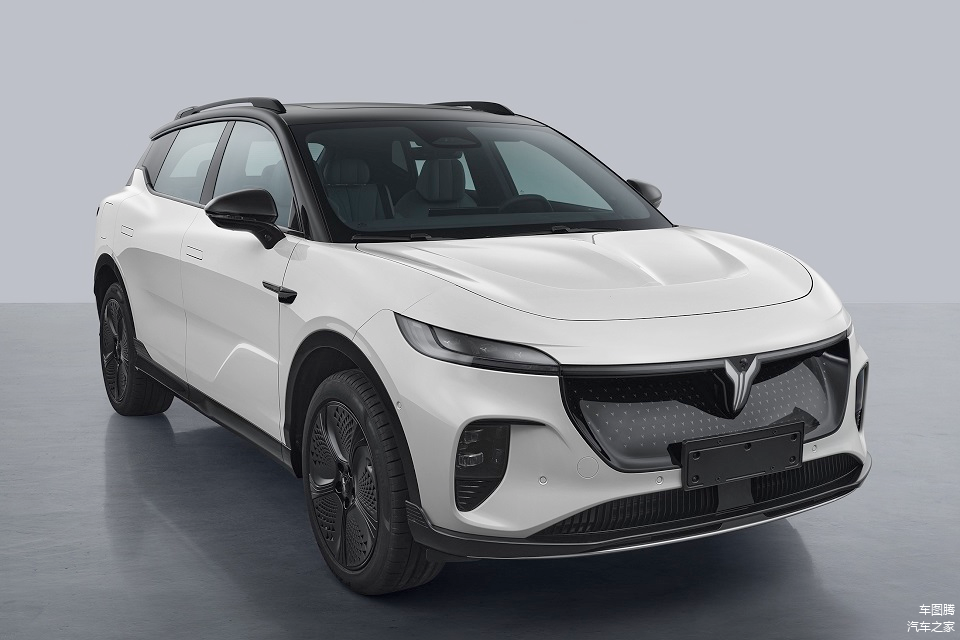 全新纯电SUV,岚图知音申报图!双前脸设计,三种动力总成
