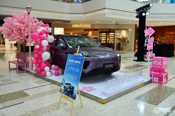 打破“伪旗舰”,风云T9L“五大平权”重写15万级SUV