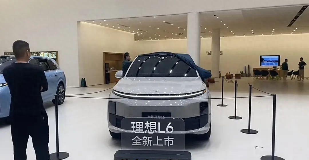 碰撞测试评分最高的十款车排名,国产竟占3款,沃尔沃还是牛