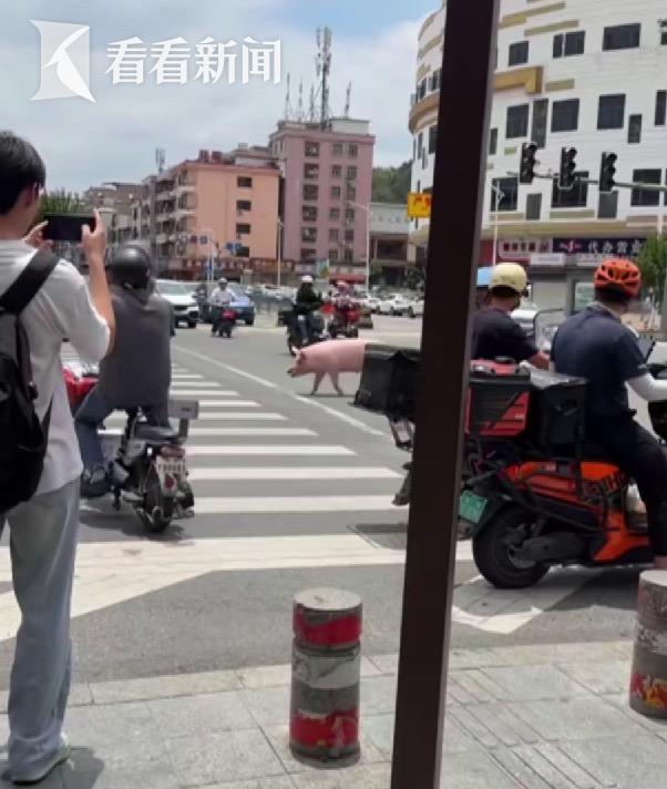 “二师兄”跳车“越狱” 警民合力“捉拿归案”