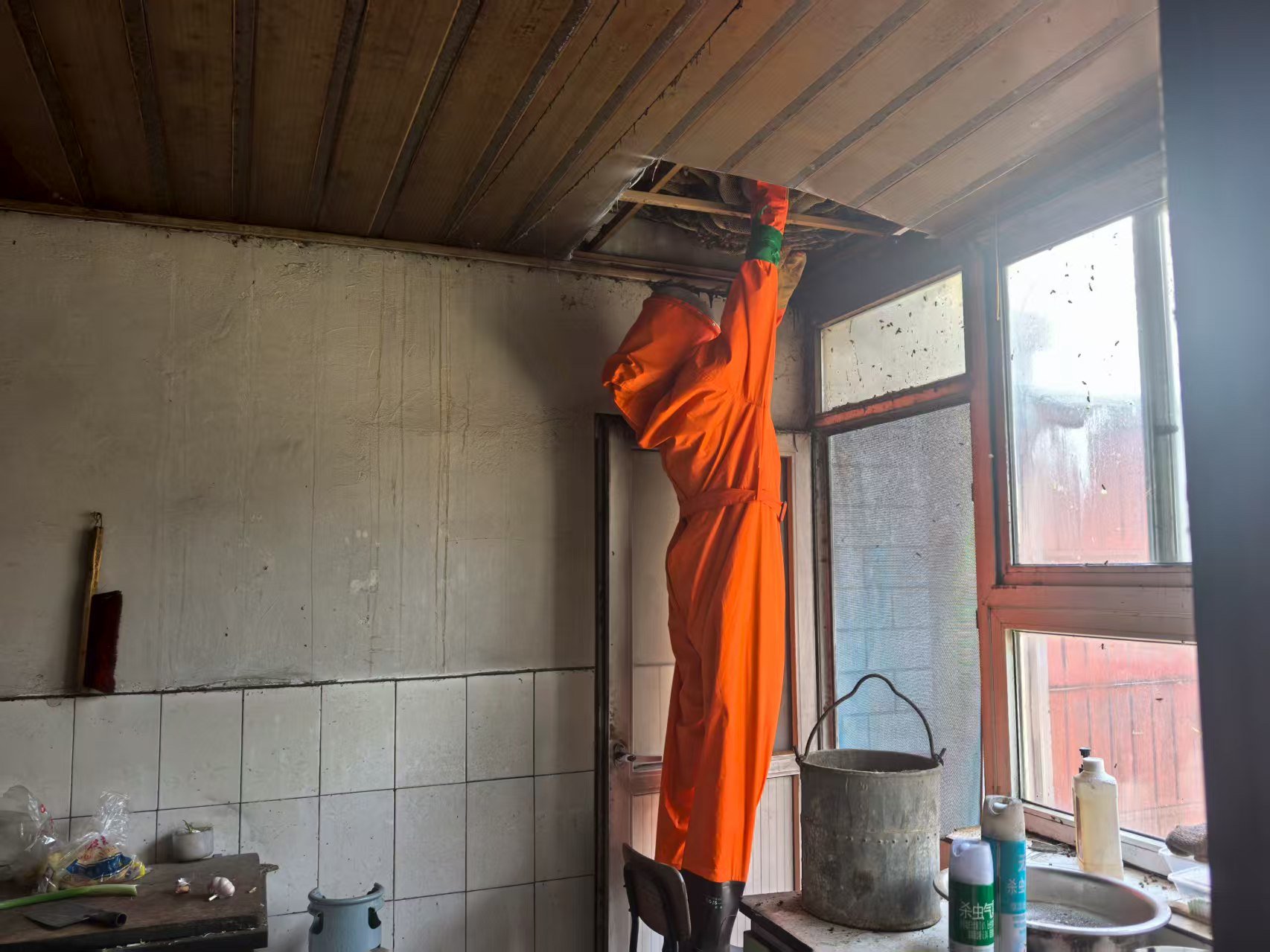 由於蜂巢質地濕重、黏性極大，清理過程十分耗時費力。大興消防供圖