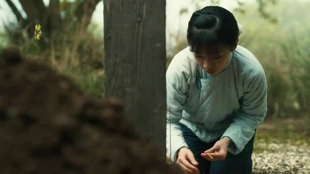小伙托人写情书发现女友已为其建坟,万茜王阳黄澄澄主演新剧