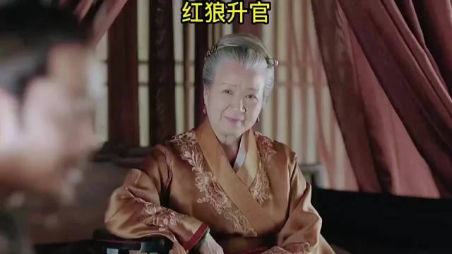 知否知否应是绿肥红瘦：红狼从地方官一路高升，是如何逆袭的