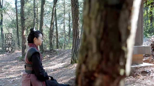 琅琊榜： 12年已过梅长苏还会相信友情吗. 主演：吴磊x胡歌x刘涛
