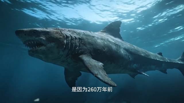 巨齿鲨真实样貌被改写，深海灭绝谜团待解