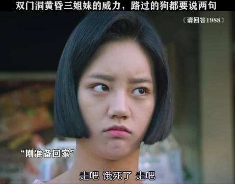 请回答1988：豹子女士至今没去过济州岛哈哈哈