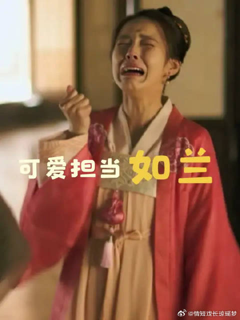 如兰小可爱~吃饭，睡觉，气墨兰