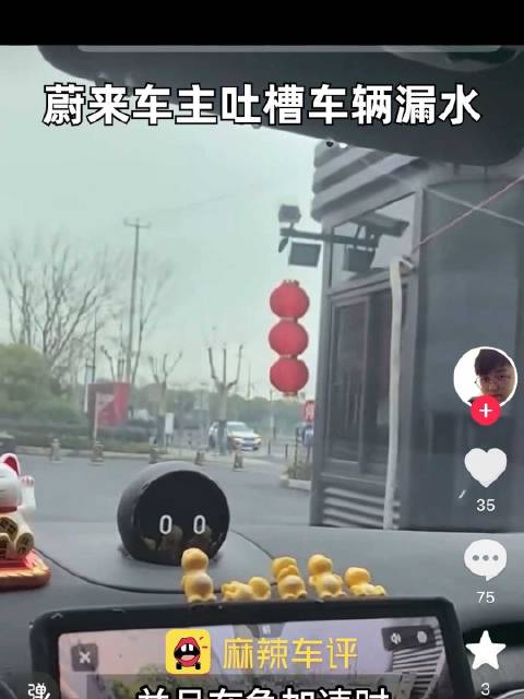 蔚来车主吐槽车辆漏水