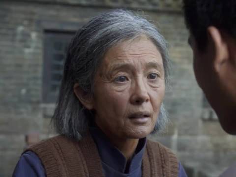 演员2025年四部作品获好评，11天完结《生万物》成年度剧王