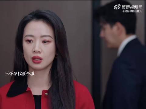 聂予城拒负责删怀孕第三者，对方赴公司对峙
