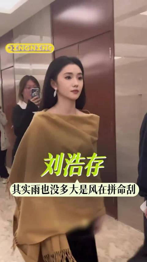 刘浩存风雪压我两三年我拿金奖一年又一年！消失的人