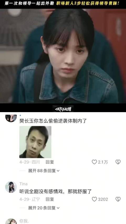 《低智商犯罪》警鲤小队外勤戳中社畜痛点，田曦薇张译演绎职场生存