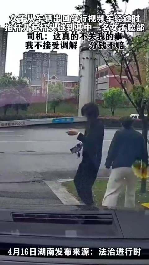 女子从车辆出口穿行视频车经过时，抬杆升起杆头碰到其中一名女子脸部