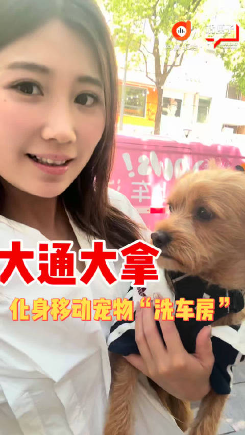大通大拿化身移动宠物“洗澡车”