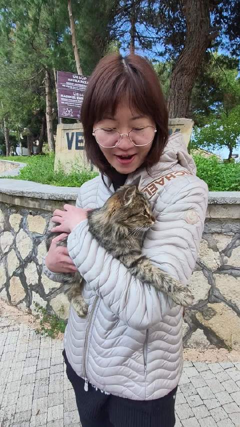 土耳其卡帕我与貓貓狗狗篇